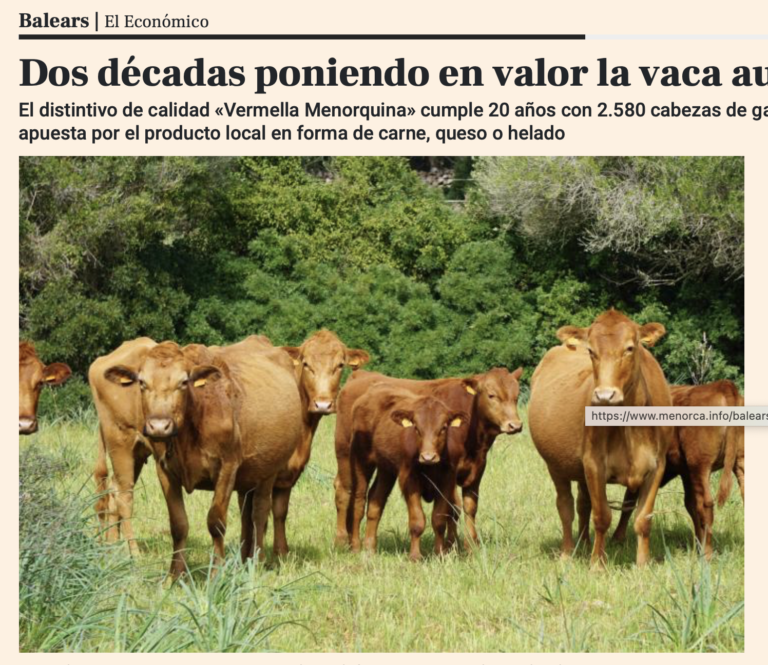 La vaca menorquina, al sumplement El Económico